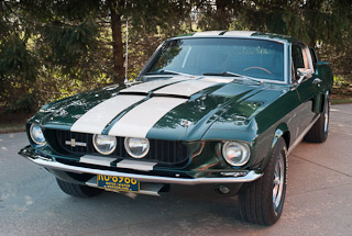 1967 Shelby
              GT500